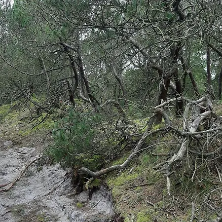 Hébergement de vacances 4 Person In