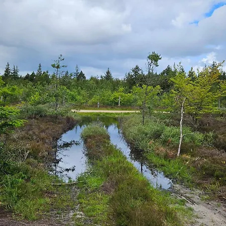 Hébergement de vacances 4 Person In